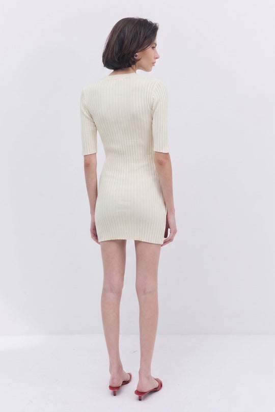 Ribbed Mini Dress