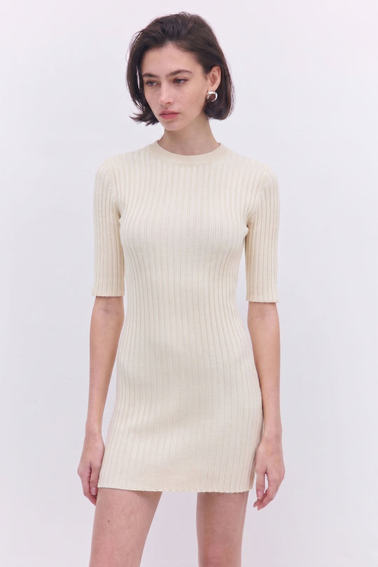 Ribbed Mini Dress - Dé Rococo