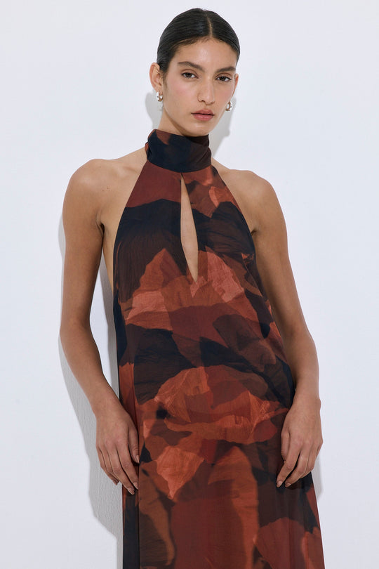 Semi Sheer Collar Maxi Dress