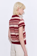Short Sleeved Knitted Polo Shirt