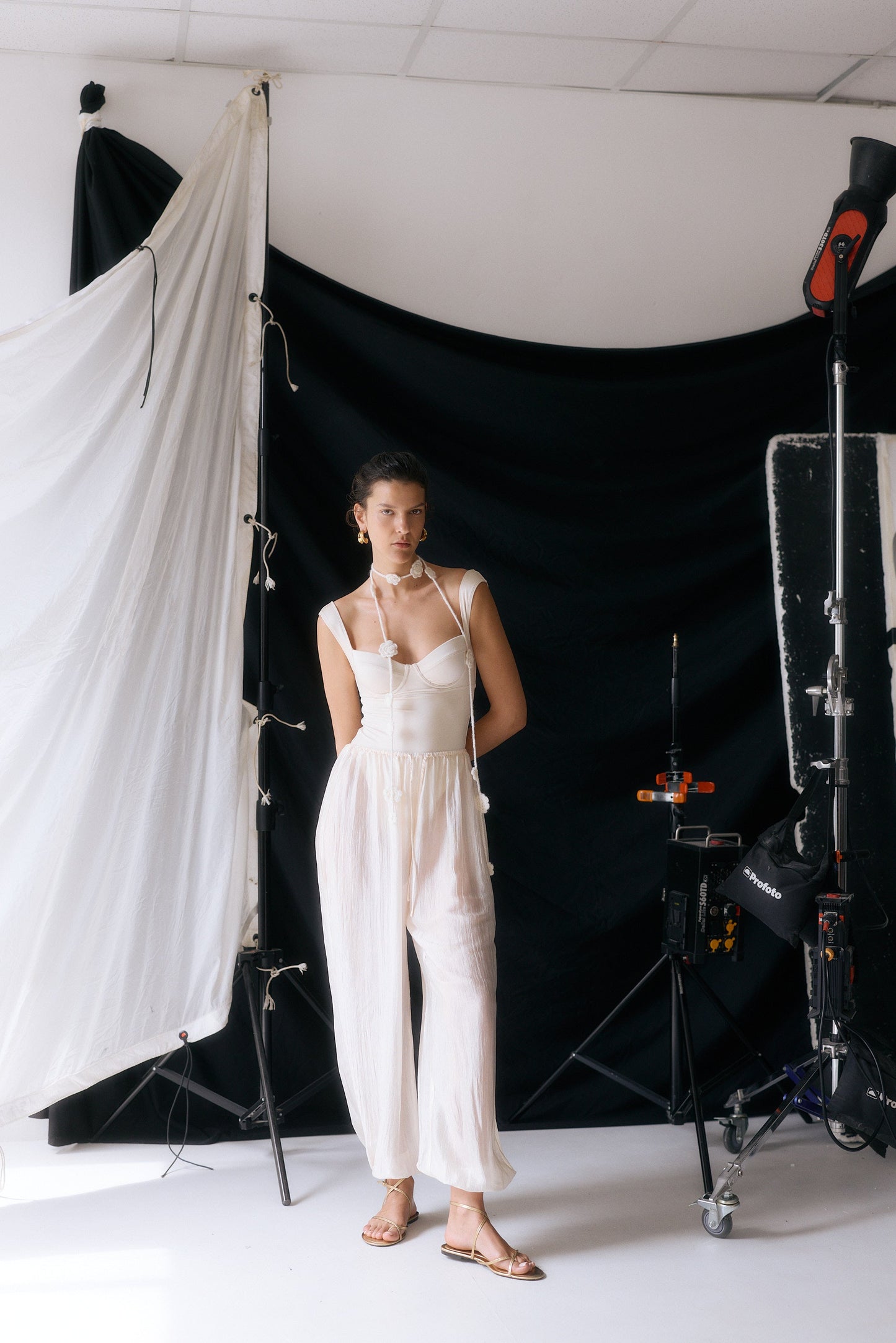 Semi Sheer Chiffon Balloon Pants