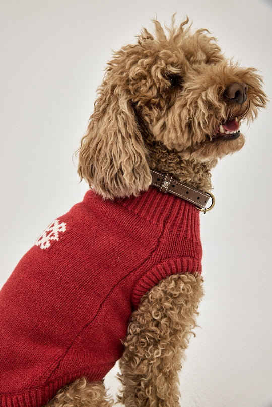 Mini Me Dog Intarsia Jumper - Dé Rococo