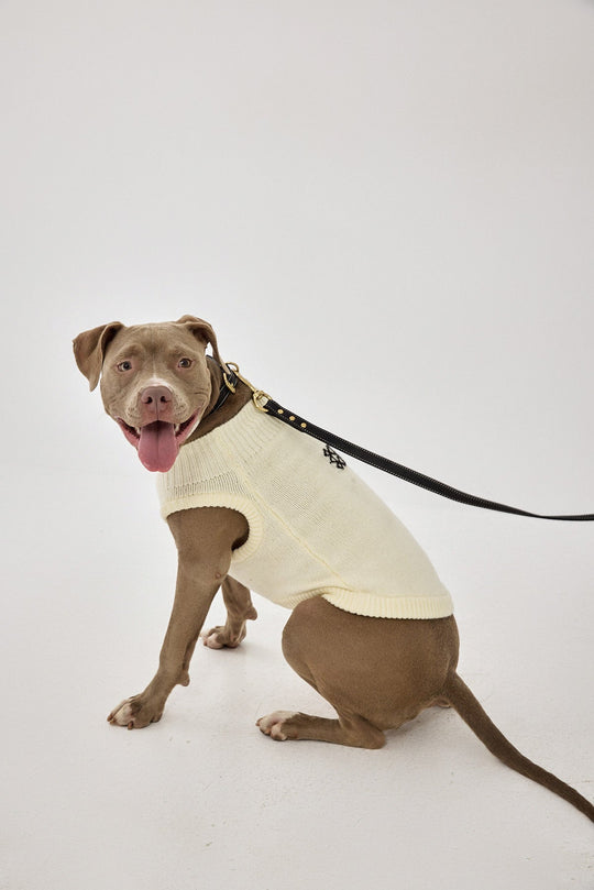 Mini Me Dog Intarsia Jumper - Dé Rococo