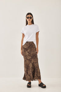 leopard