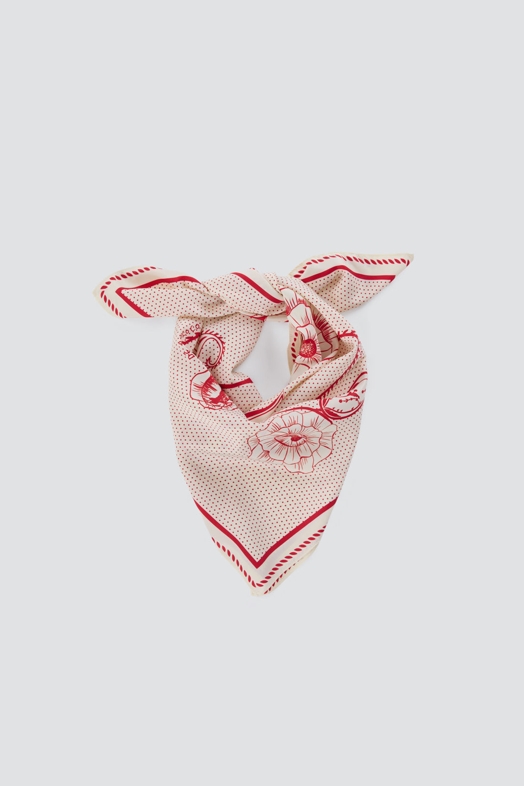 Signature Floral Paisley Scarf