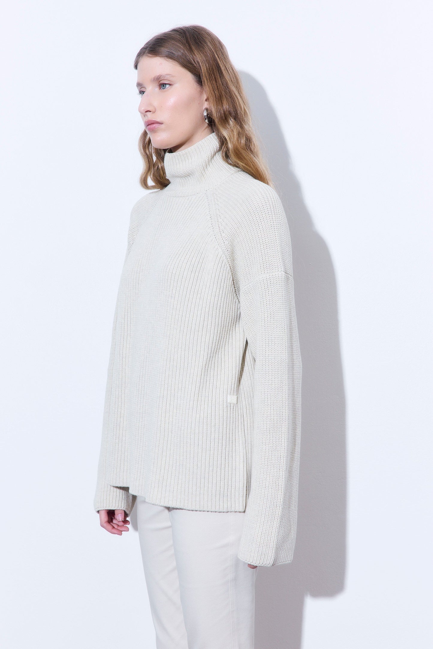 Ribbed Turtleneck Sweater