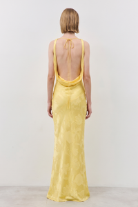 sunflower-yellow