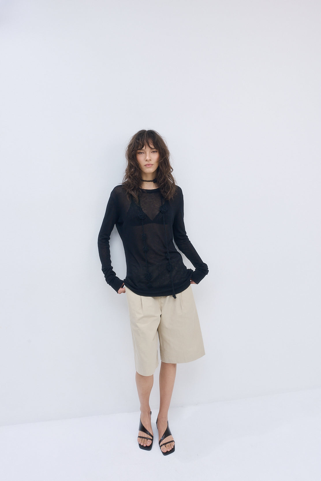 Semi Sheer Long Sleeve