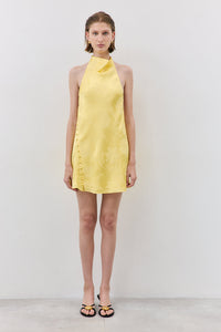 sunflower-yellow