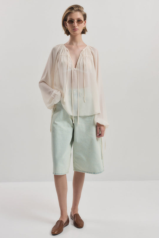 Deep V Semi Sheer Blouse